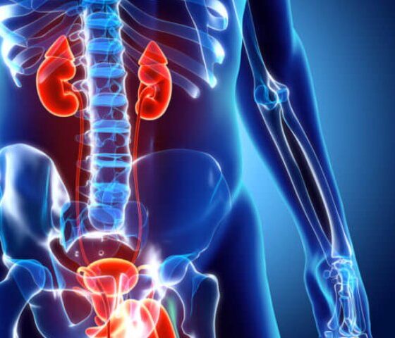 Common Urological Issues: Symptoms You Shouldn’t Ignore