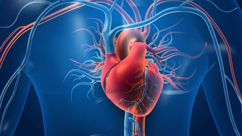 Cardiologist in PCMC Pune offering cardiac health and heart-health disease treatment at Apex Hospital